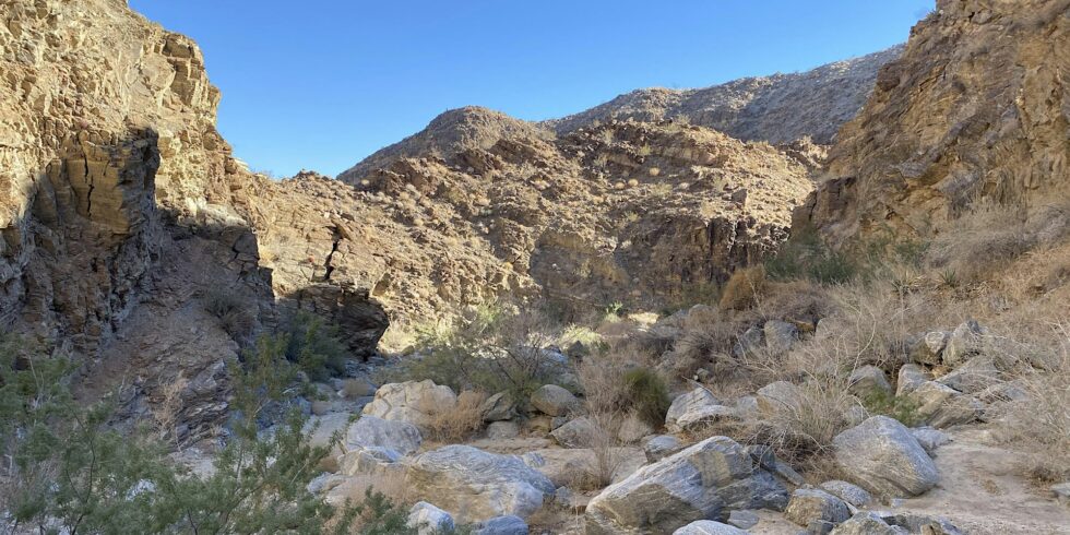 Carrizo Canyon Interpretative Hike - Desert Mountain